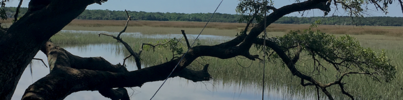 Adopting GitFlow As My Branching Model