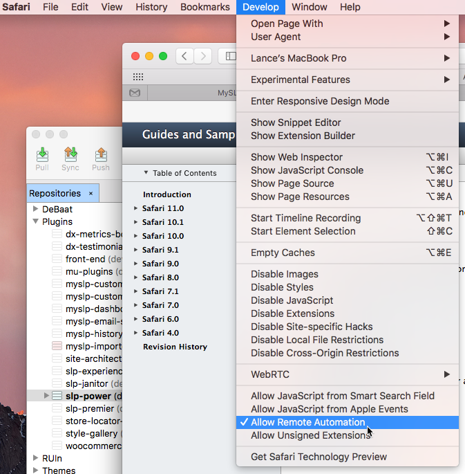 Webdriver on Safari 11 2017-09-21_15-00-02.png