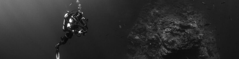 wp_enqueue_scripts Deep Dive