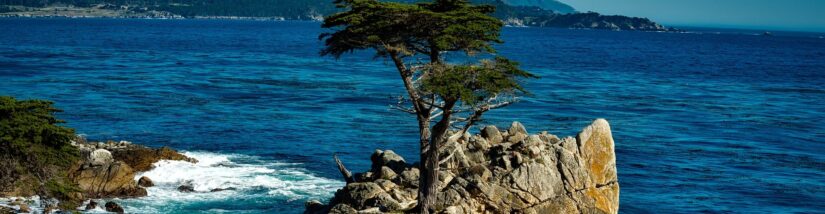 CypressIO Simplifies Web App Testing