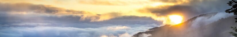 Cypress.IO Shortcomings — Pattern or Die