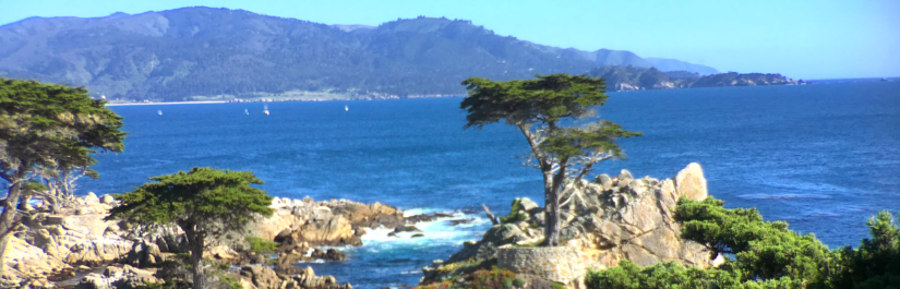 Cypress.IO WordPress Login Management