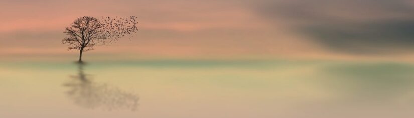 Using Bitbucket Pipelines To Deploy to AWS EC2