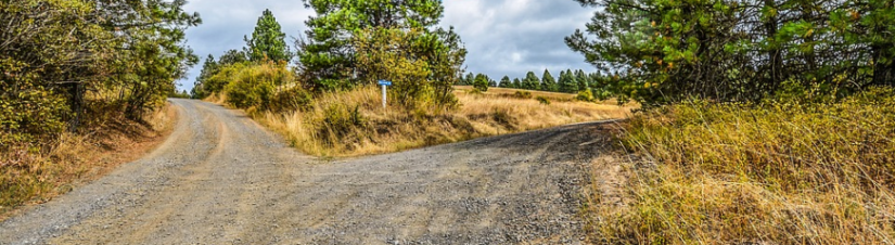 Selenium IDE if element exists