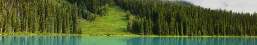 Selenium IDE3 Using If and Variables