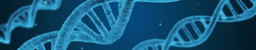 Cloning A VVV 2.6 Install