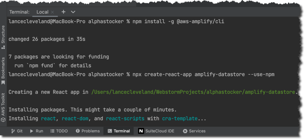 Creating an amplify app with persistent data