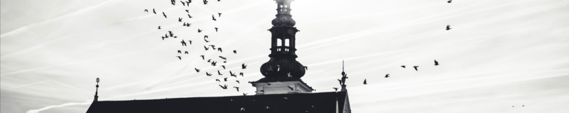 Creating An Amplify App With Persistent Data