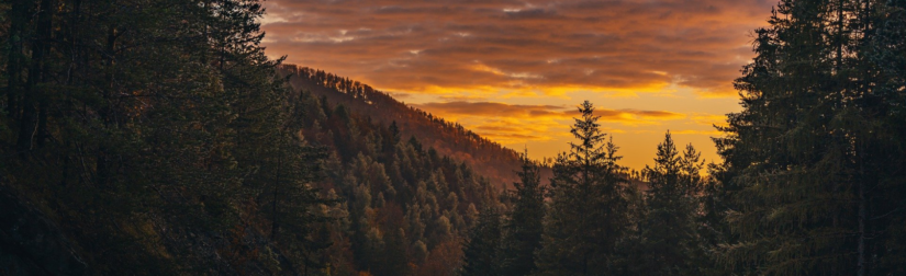 Building A Shopify App : Getting Started