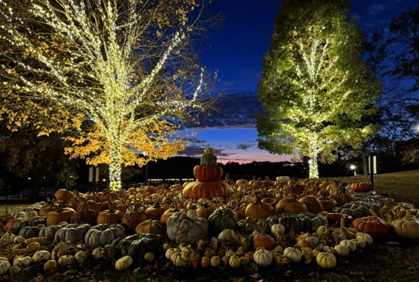 Creating Docker Images With Code Submodules